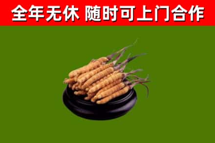 福安市烟酒回收冬虫夏草.jpg