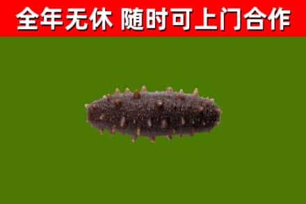 福安市烟酒回收干海参.jpg